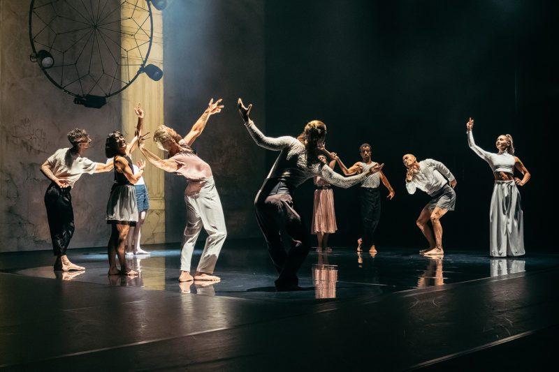 Steps : Le Grand Bal Compagnie Dyptik 