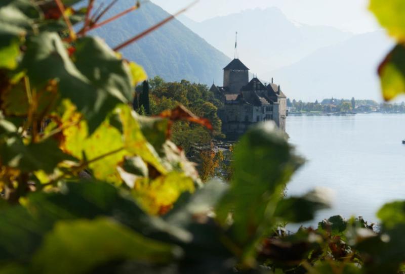 MISE EN BOUTEILLES À L’ANCIENNE DU CLOS DE CHILLON