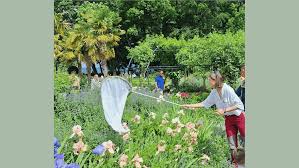 Le monde en minuscule : les abeilles et leur logis