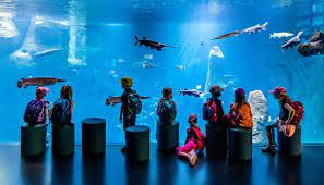 Aquatis Aquarium-Vivarium Lausanne