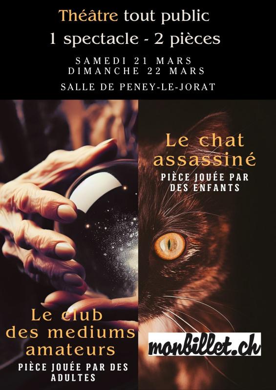 Théâtre tout public – 1 spectacle, 2 pièces