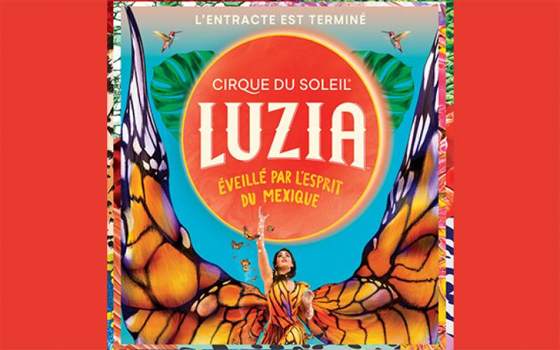 Cirque du Soleil - Luzia