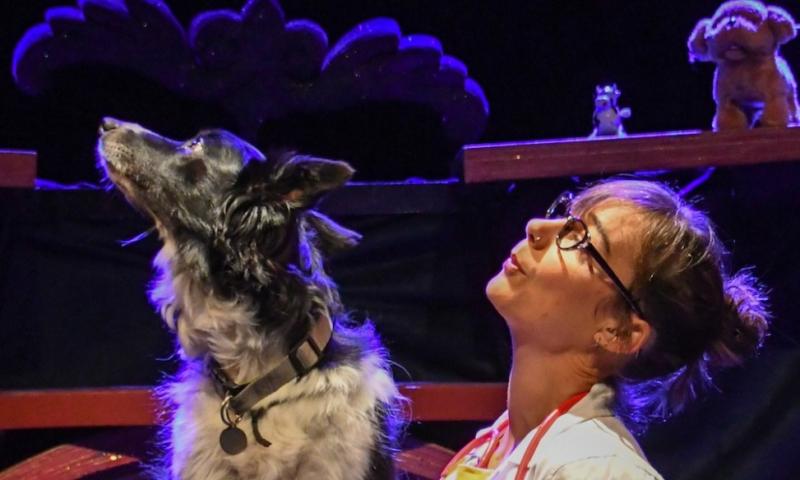 Pas Bête | Cie des Plumés 