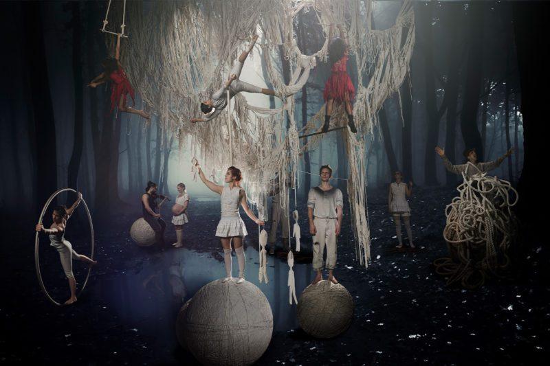 Cirkus Cirkör Knitting Peace